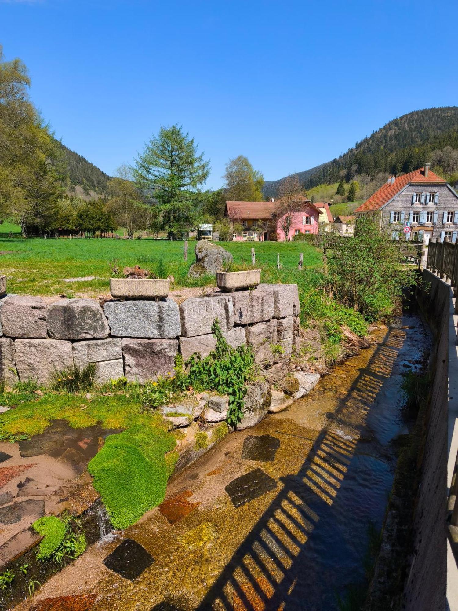 Gite De Charme Nature, Calme, Randonnee Et Air Pur Le Valtin Dış mekan fotoğraf